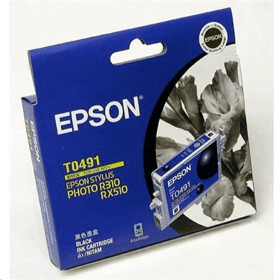 Epson T0491 Black Ink Cartridge